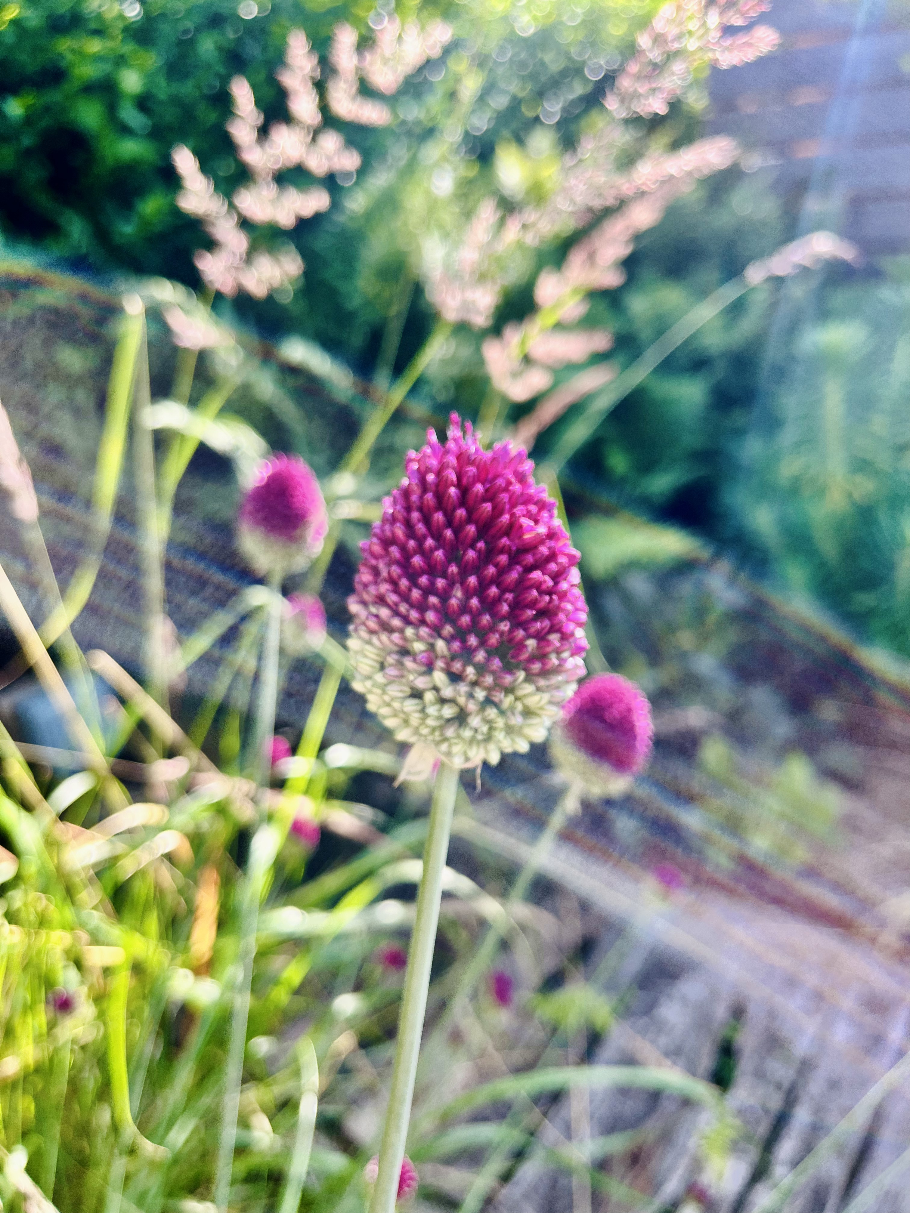 kendal garden maintenance